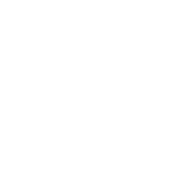 idiomas